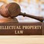 Taking a Look at the Ins & Outs of Intellectual Property&nbsp;Law